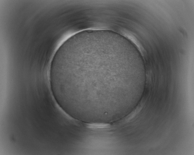 X0000116831487200912312025