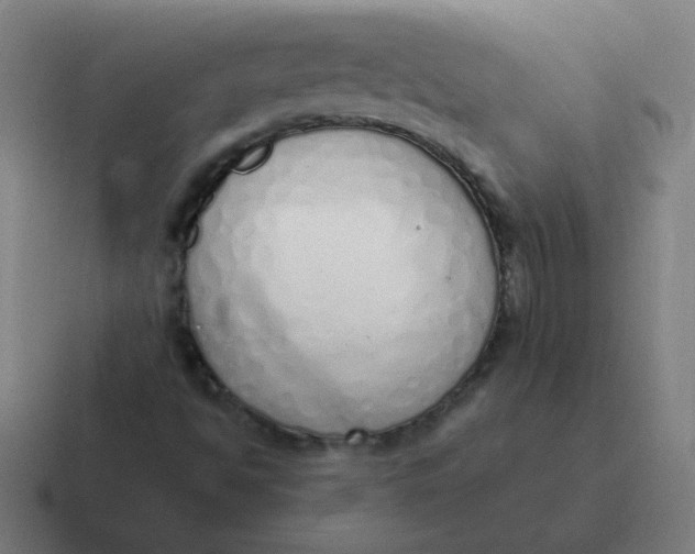 X0000116831494200912312025