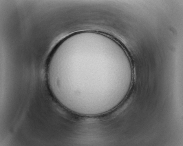 X0000116831501200912312025