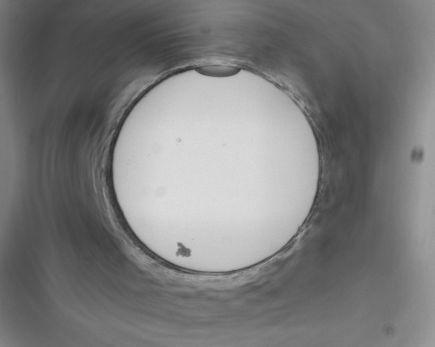 X0000116830001201001081447