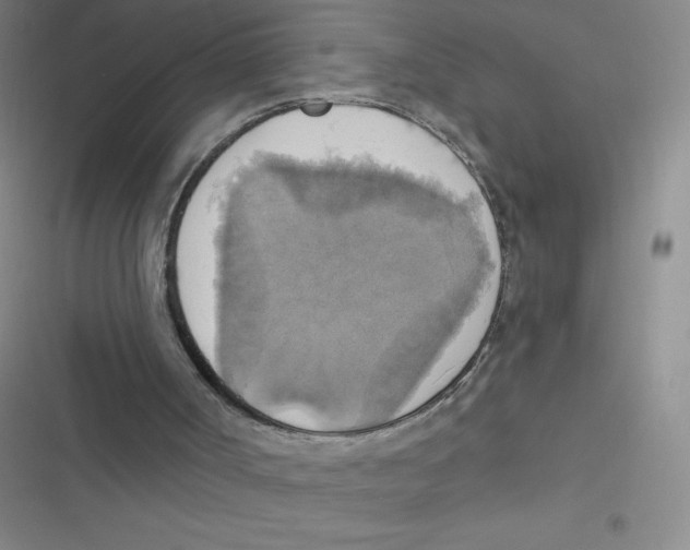 X0000116830002201001081447