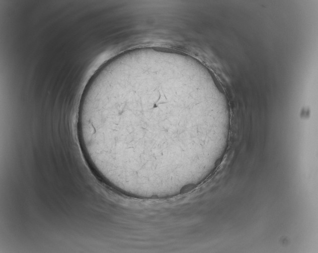 X0000116830003201001081447