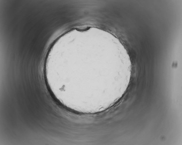 X0000116830004201001081447