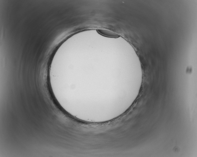 X0000116830005201001081447