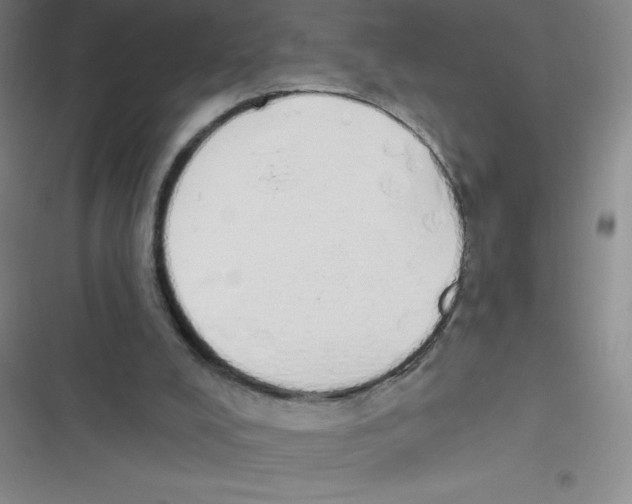 X0000116830008201001081447