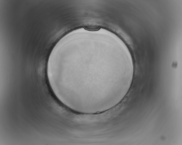 X0000116830009201001081447