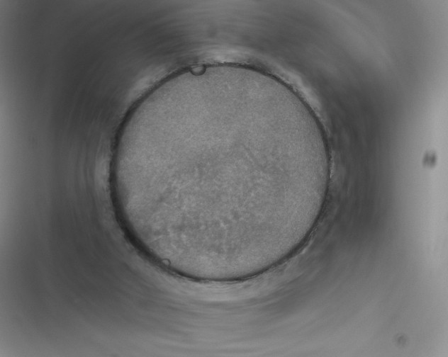 X0000116830010201001081447