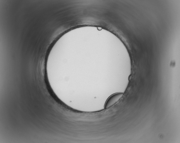 X0000116830011201001081447