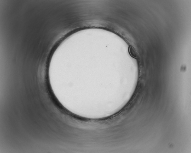 X0000116830012201001081447