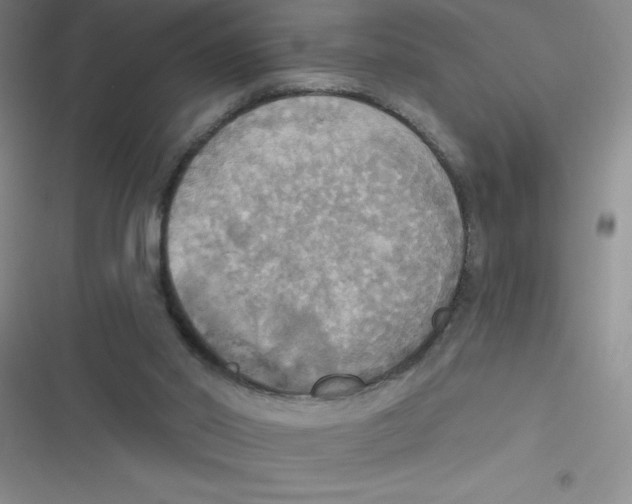 X0000116830014201001081447