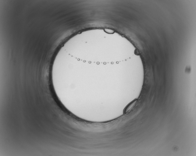 X0000116830015201001081447