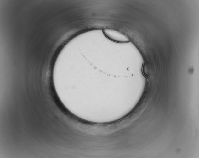 X0000116830016201001081447