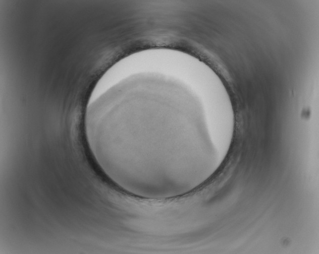 X0000116830018201001081447