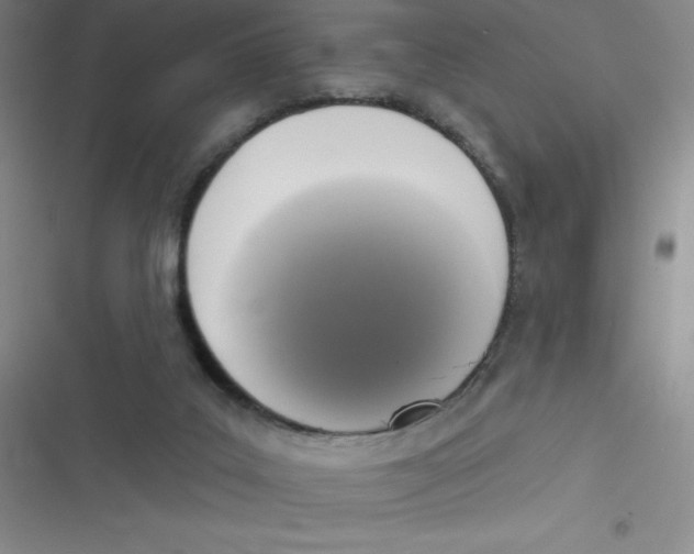 X0000116830019201001081447