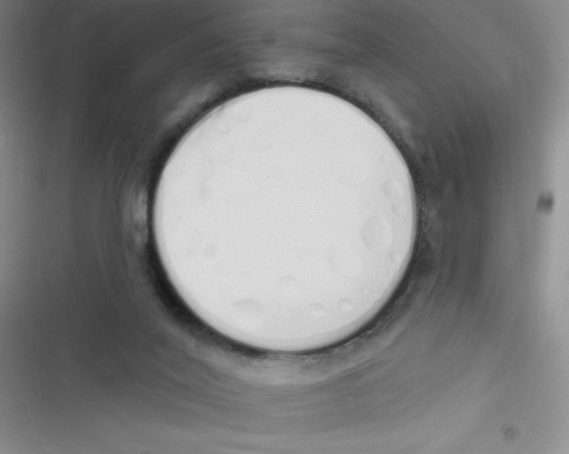 X0000116830020201001081447