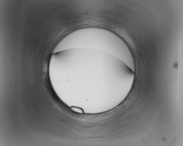 X0000116830021201001081447