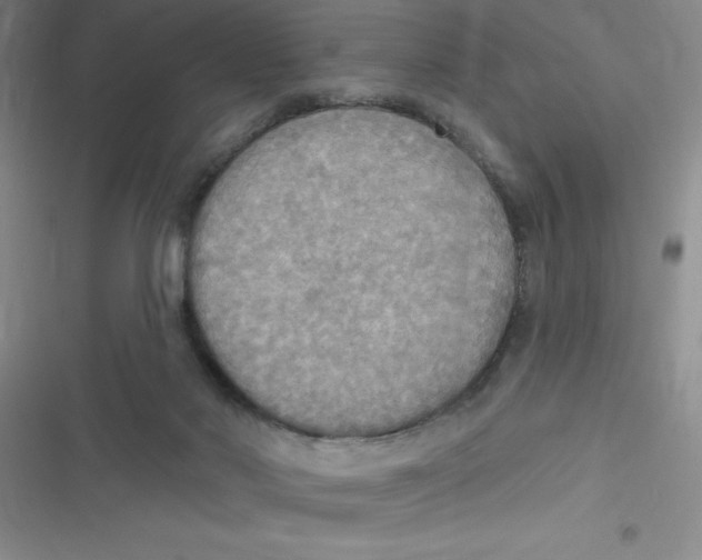 X0000116830022201001081447