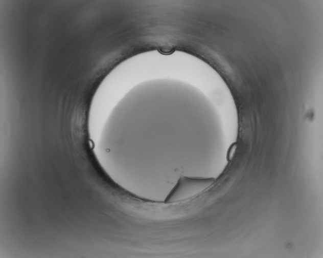 X0000116830023201001081447