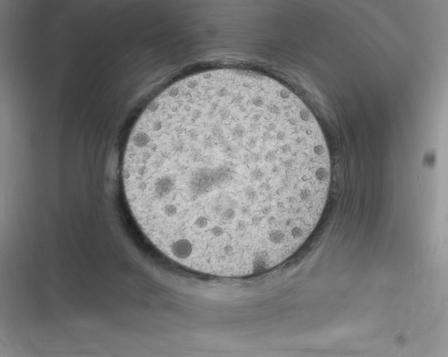 X0000116830024201001081447