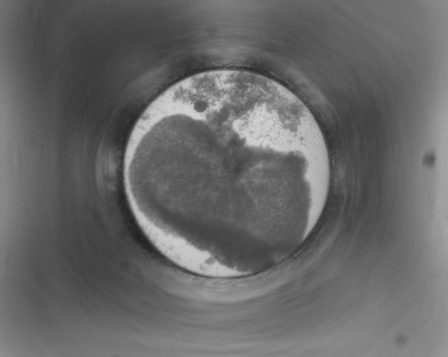 X0000116830026201001081447