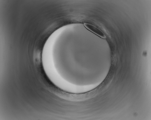 X0000116830027201001081447