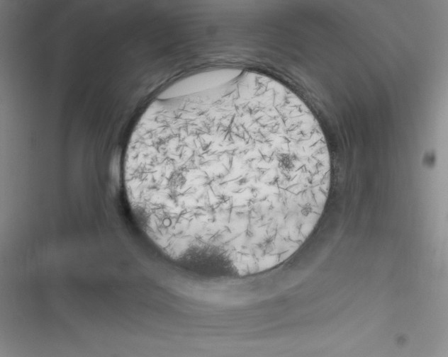 X0000116830028201001081447