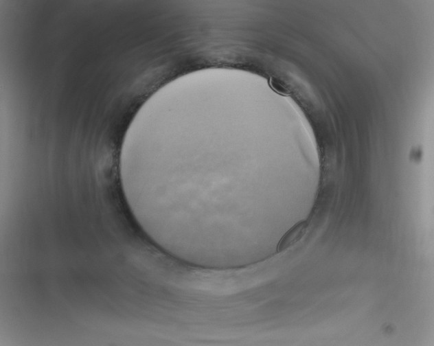 X0000116830029201001081447