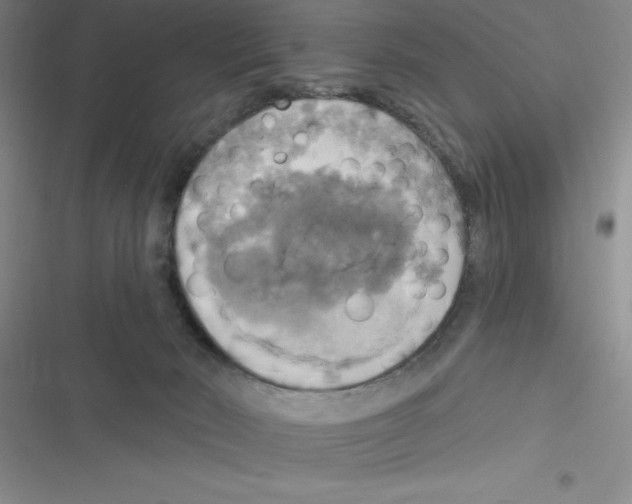 X0000116830030201001081447