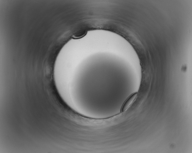 X0000116830031201001081447