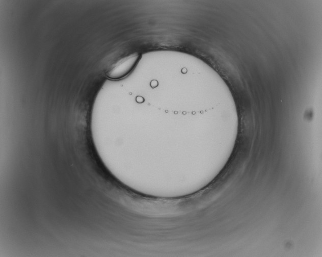 X0000116830032201001081447