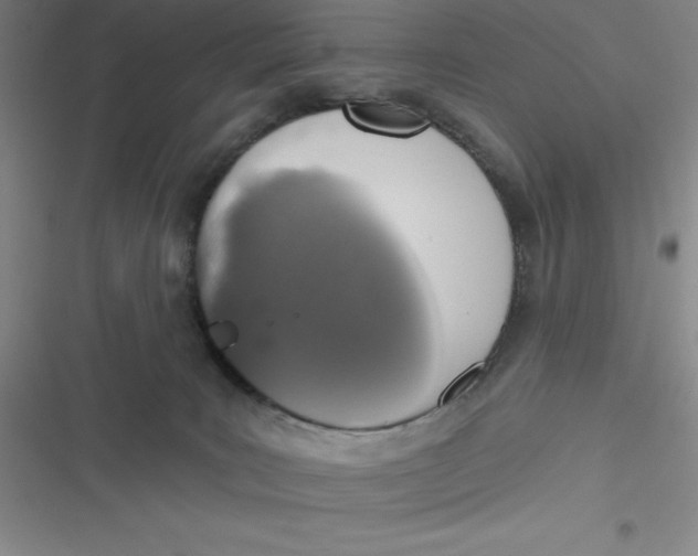 X0000116830035201001081447