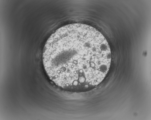 X0000116830036201001081447