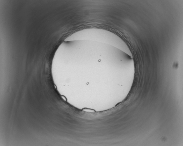 X0000116830037201001081447