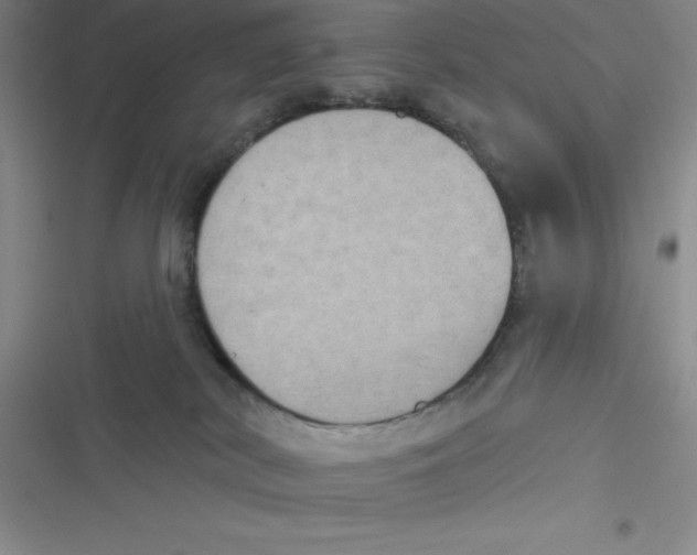 X0000116830038201001081447