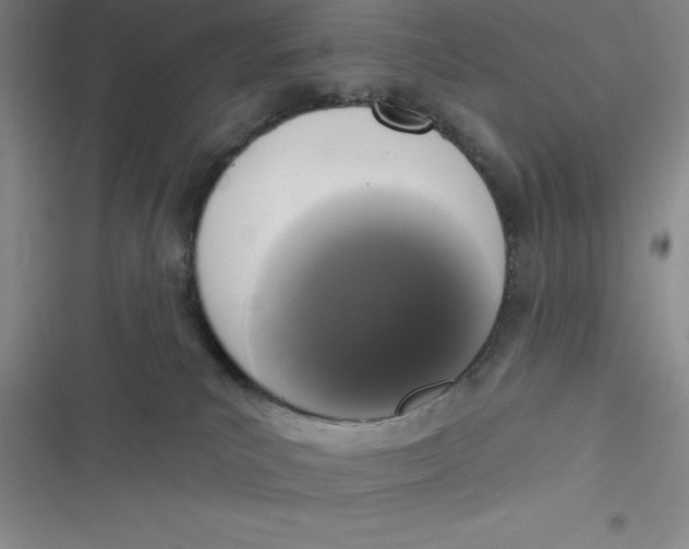 X0000116830039201001081447