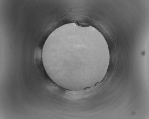 X0000116830041201001081447