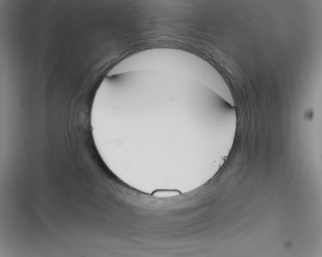 X0000116830043201001081447