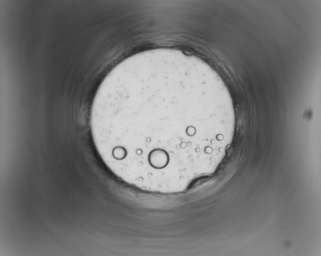 X0000116830044201001081447