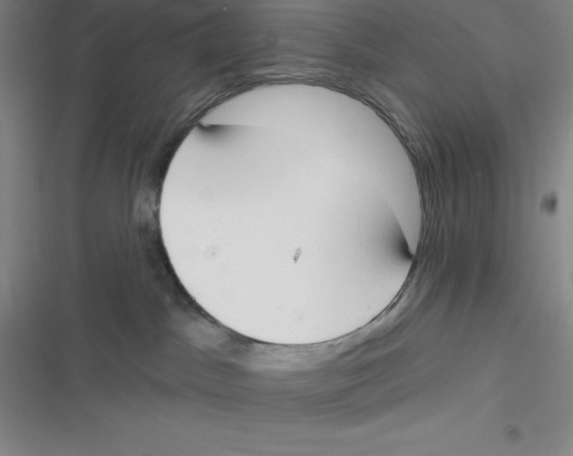 X0000116830045201001081447