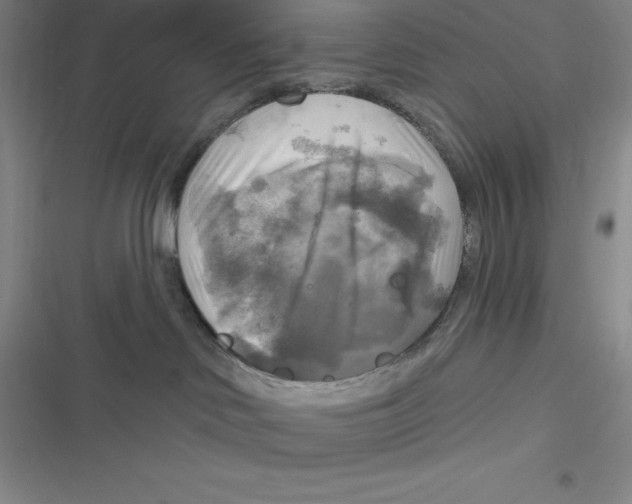 X0000116830046201001081447