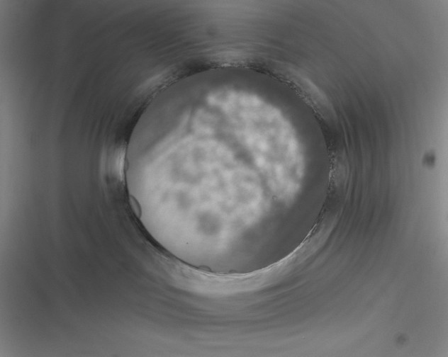 X0000116830047201001081447