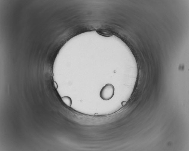 X0000116830048201001081447