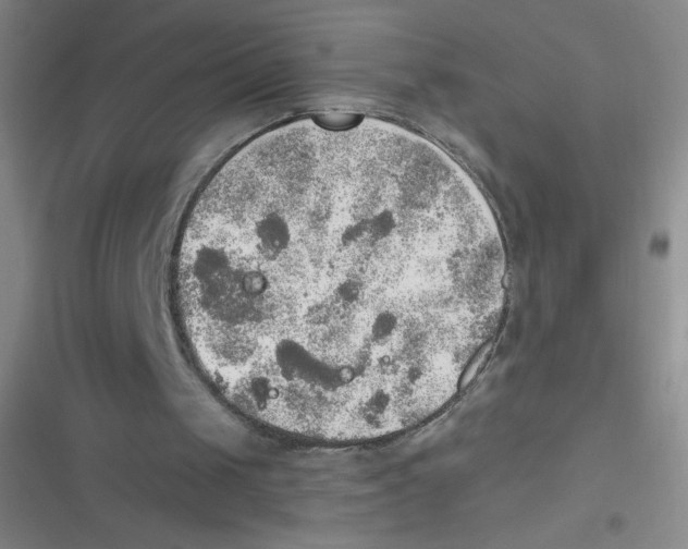 X0000116830049201001081446