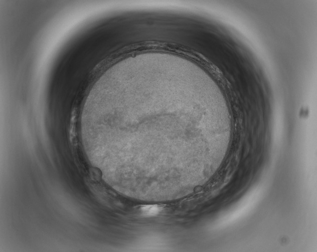 X0000116830050201001081446