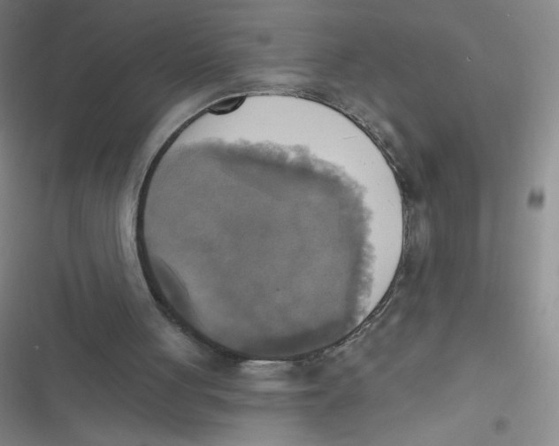 X0000116830051201001081446