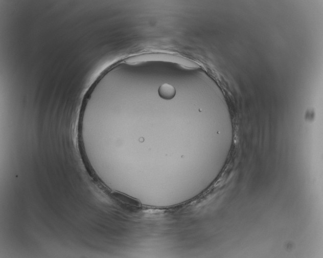 X0000116830052201001081446