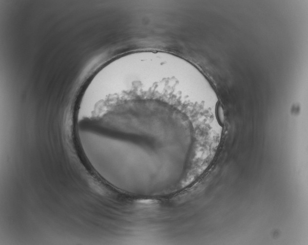 X0000116830053201001081446