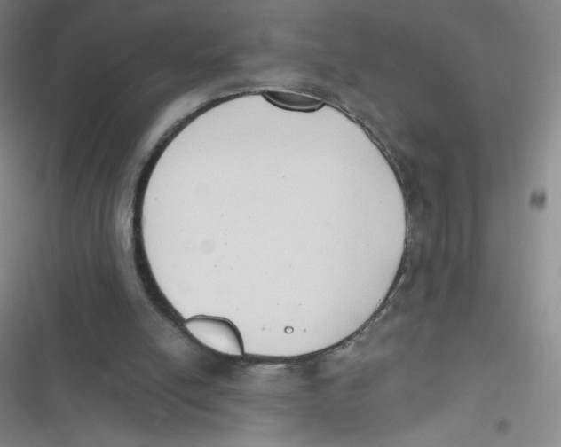 X0000116830054201001081446