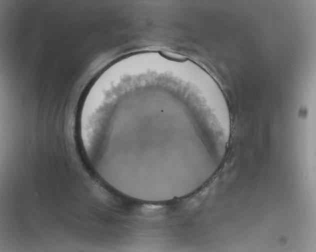 X0000116830055201001081446