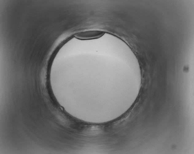 X0000116830056201001081446